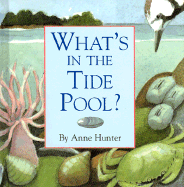 What's in the Tide Pool?