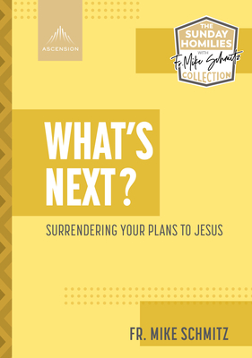 What's Next?: Surrendering Your Plans to Jesus - Schmitz, Fr Mike