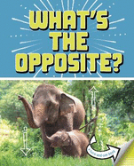 What's the Opposite?: A Turn-and-See Book