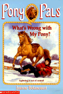 What's Wrong with My Pony? - Betancourt, Jeanne