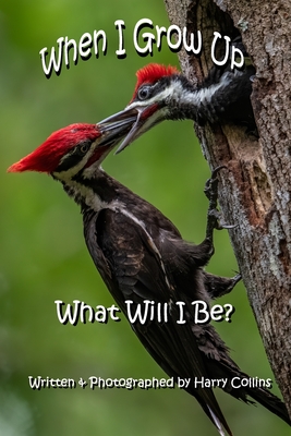 When I Grow Up What Will I Be? - Collins, Harry