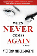 When Never Comes Again-a Novel