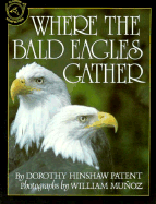 Where the Bald Eagles Gather - Patent, Dorothy Hinshaw