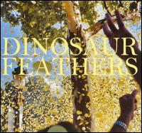 Whistle Tips - Dinosaur Feathers