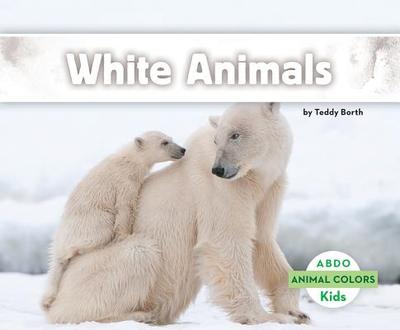 White Animals - Borth, Teddy