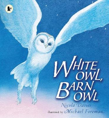 White Owl, Barn Owl - Davies, Nicola