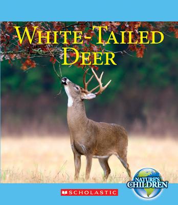 White-Tailed Deer - Marsico, Katie