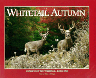 Whitetail Autumn