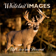 Whitetail Images: Up Close and Personal
