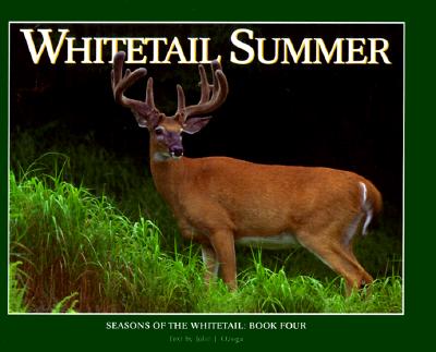Whitetail Summer - Ozoga, John J