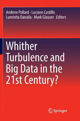 Whither Turbulence and Big Data in the 21st Century? - Pollard, Andrew (Editor), and Castillo, Luciano (Editor), and Danaila, Luminita (Editor)