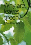 Why are Leaves Green?: A Tree Miscellany - Stokes, Jon, and White, John, and Miles, Archie (Photographer)