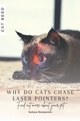 Why do cats chase laser pointers?: Find out more about your pet - Shurpatenko, Ruslana