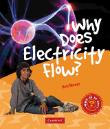 Why Does Electricity Flow?