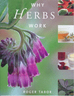 Why Herbs Work - Tabor, Roger