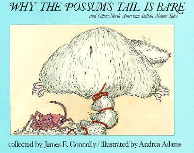 Why the Possum's Tail is Bare - Connelly, James E, and Connolly, James E (Editor)