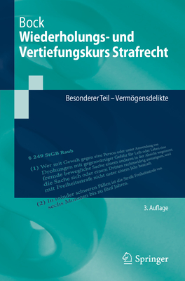 Wiederholungs- und Vertiefungskurs Strafrecht: Besonderer Teil - Vermgensdelikte - Bock, Dennis