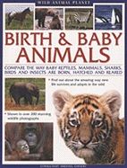 Wild Animal Planet: Birth and Baby Animals*** out of stock