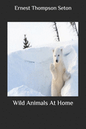 Wild Animals At Home