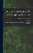 Wild Animals Of North America: Intimate Studies Of Big And Little Creatures Of The Mammal Kingdom