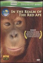 Wild Asia: In the Realm of the Red Ape