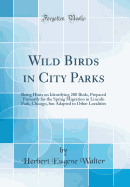 Wild Birds in City Parks: Being Hints on Identifying 200 Birds, Prepared Primarily for the Spring Migration in Lincoln Park, Chicago, But Adapted to Other Localities (Classic Reprint)