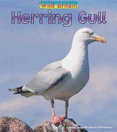 Wild Britain: Herring Gull Paperback