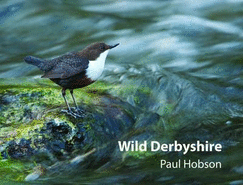 Wild Derbyshire