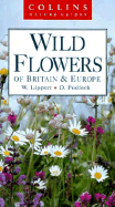 Wild flowers of Britain and Europe