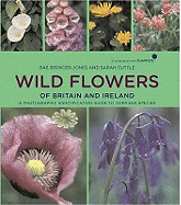 Wild Flowers of Britain and Ireland: In Association with Plant Life: A Photographic Field Guide to Over 600 Species - Jones, Rae Spencer, and Cuttle, Sarah