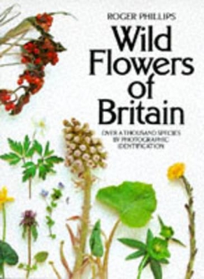 Wild Flowers of Britain: Over a Thousand Species by Photographic Identification - Phillips, Roger
