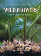Wild Flowers of Yunnan in China