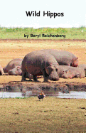 Wild Hippos