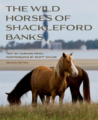 Wild Horses of Shackleford Banks - Prioli, Carmine, and Taylor, Scott