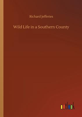 Wild Life in a Southern County - Jefferies, Richard