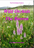 Wild Orchids in the Burren