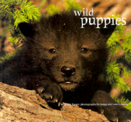 Wild Puppies