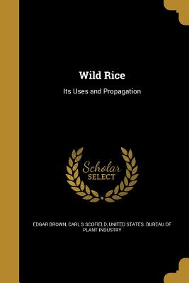 Wild Rice - Brown, Edgar, and Scofield, Carl S, and United States Bureau of Plant Industry (Creator)