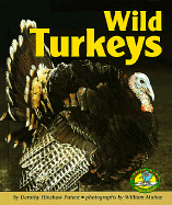 Wild Turkeys - Patent, Dorothy Hinshaw