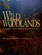 Wild Woodlands