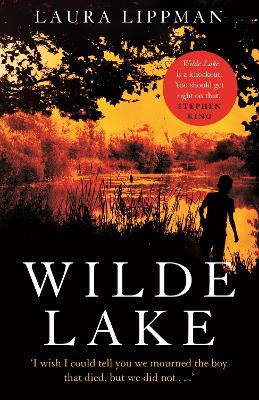 Wilde Lake: 'A knockout' Stephen King - Lippman, Laura