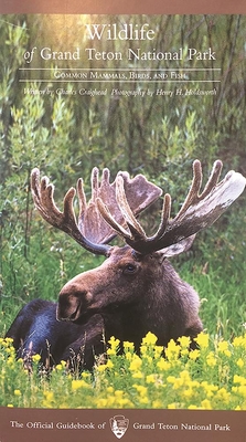 Wildlife of Grand Teton National Park - Craighead, Charles, and Holdsworth, Henry H (Photographer)