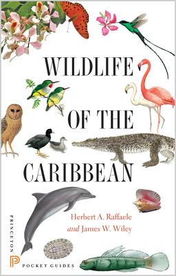 Wildlife of the Caribbean - Raffaele, Herbert A., and Wiley, James