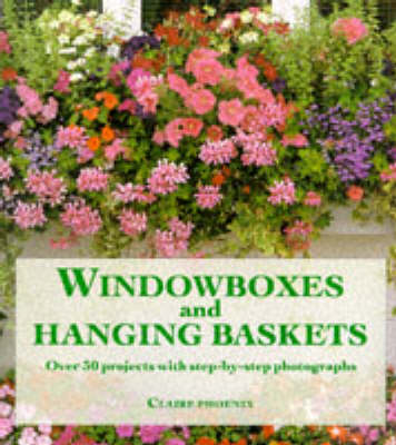 Windowboxes and Hanging Baskets - Phoenix, Claire