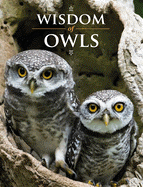 Wisdom of Owls