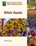 Witch Hazels