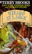 Wizard at Large - Brooks, Terry