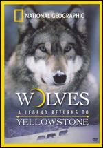 Wolves: A Legend Returns to Yellowstone