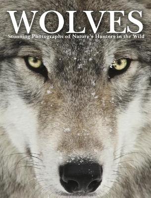 Wolves: Stunning Photographs of Nature's Hunters in the Wild - Jackson, Tom