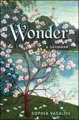 Wonder: A Grammar - Vasalou, Sophia, Dr.